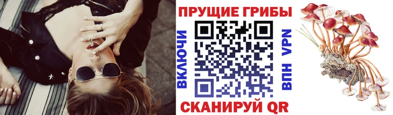 Галлюциногенные грибы MAGIC MUSHROOMS  mega онион  Семёнов 